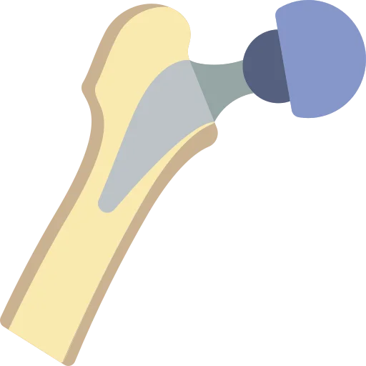 Dual Mobility Hip Replacement icon