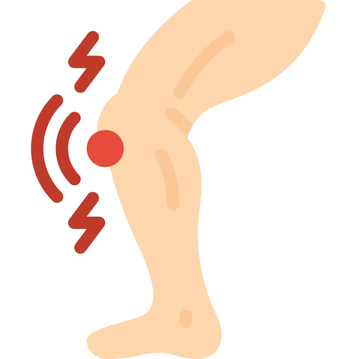 Partial Knee Replacement icon