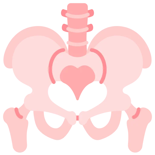 Total Hip Replacement icon