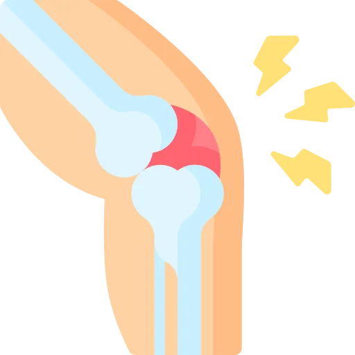 Total Knee Replacement icon